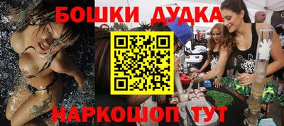 индика Будённовск