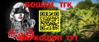 индика Будённовск